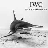Представляем: IWC AQUATIMER SHARK EDITION