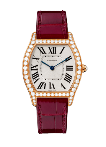 Tortue Cartier