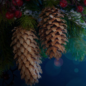 Режим работы 12-24 INFO в праздничные дни