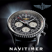 Коллекционная модель для поклонников авиации 