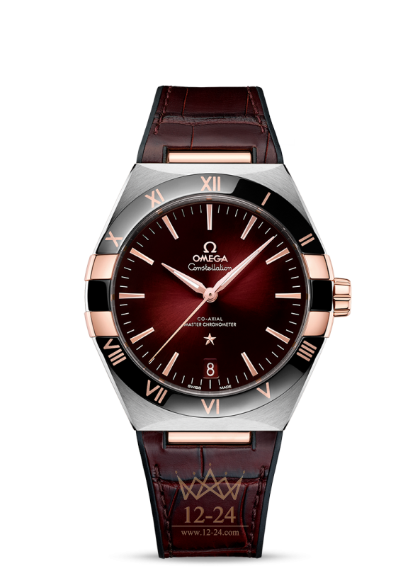 Omega Co‑Axial Master Chronometer 41 mm 131.23.41.21.11.001