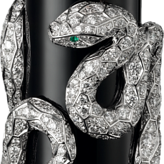 Часы Cartier Visible Time Motive «Snake» Small model HPI00662 — дополнительная миниатюра 1