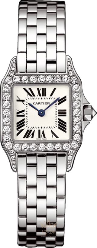 Cartier Demoiselle Small Model WF9003Y8