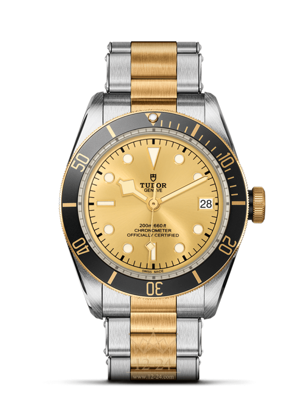 Tudor Black Bay S&amp;G m79733n-0004
