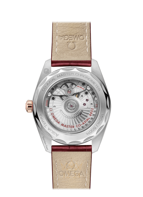 Omega Aqua Terra 150m Co Axial Master Chronometer Small Seconds 38 mm 220.23.38.20.59.001