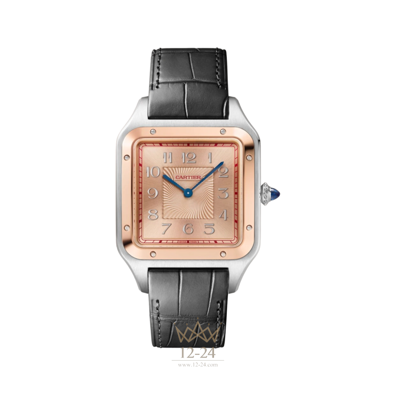 Cartier Extra-Large Model W2SA0025
