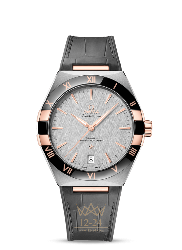 Omega Co Axial Master Chronometer 41 mm 131.23.41.21.06.001