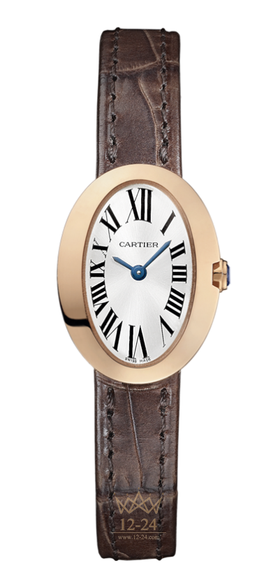 Cartier Mini W8000017