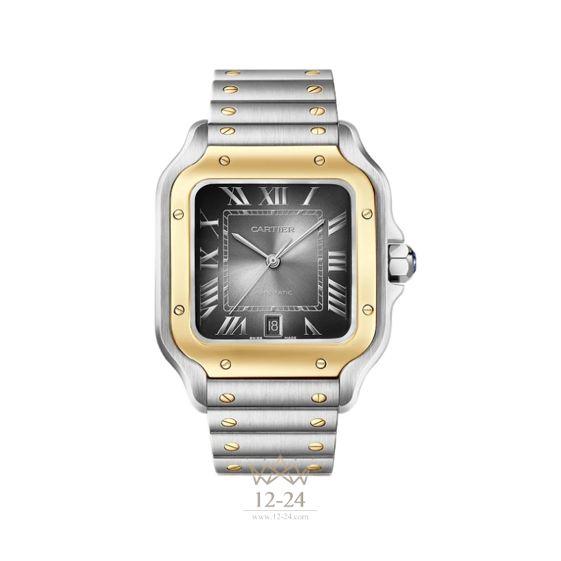 Cartier Large Model W2SA0030