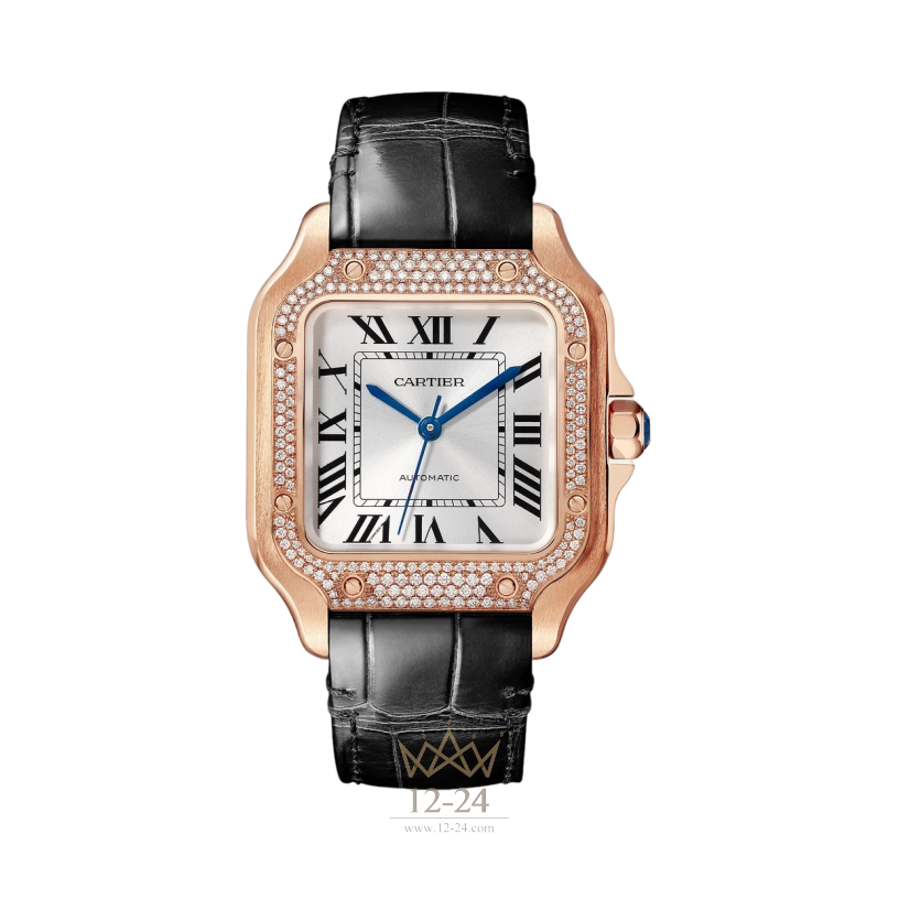 Cartier Medium Model WJSA0012