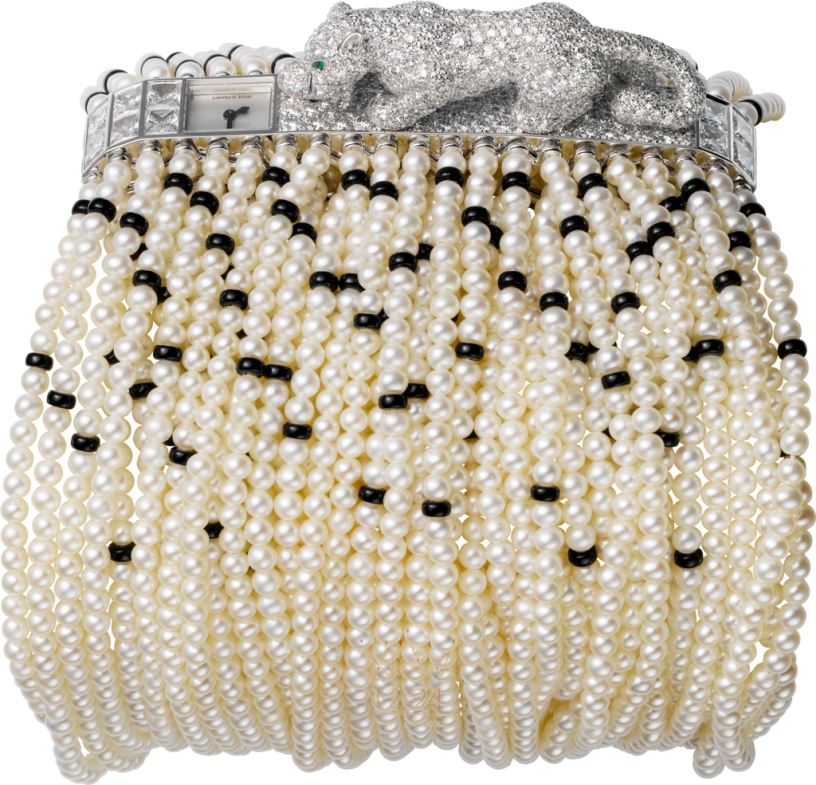 Cartier Visible Time Medium size model HPI00463