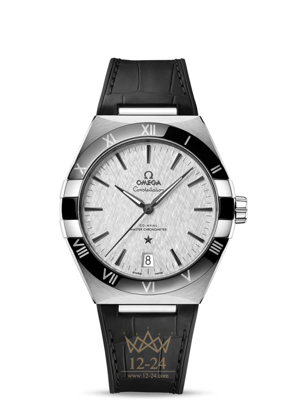 Omega Co Axial Master Chronometer 41 mm 131.33.41.21.06.001