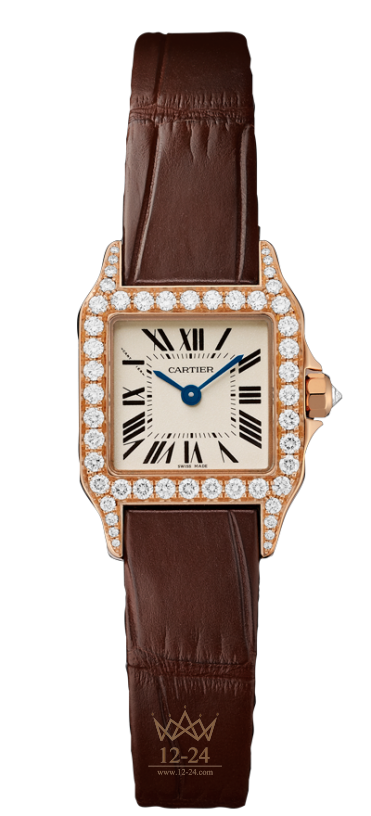 Cartier  Demoiselle Mini Model WF902004