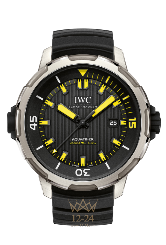 IWC Automatic 2000 IW358001