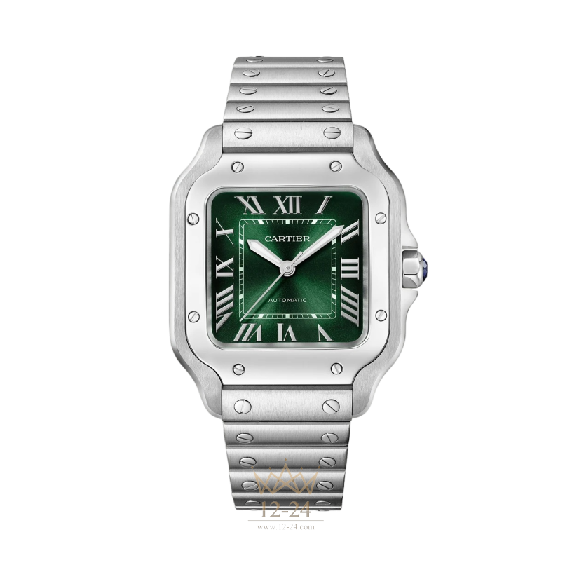 Cartier Medium Model WSSA0061