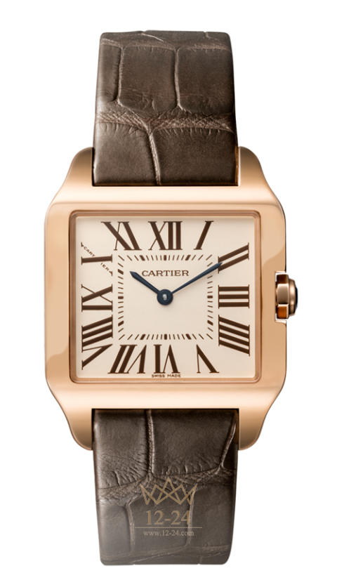 Cartier Dumont W2009251