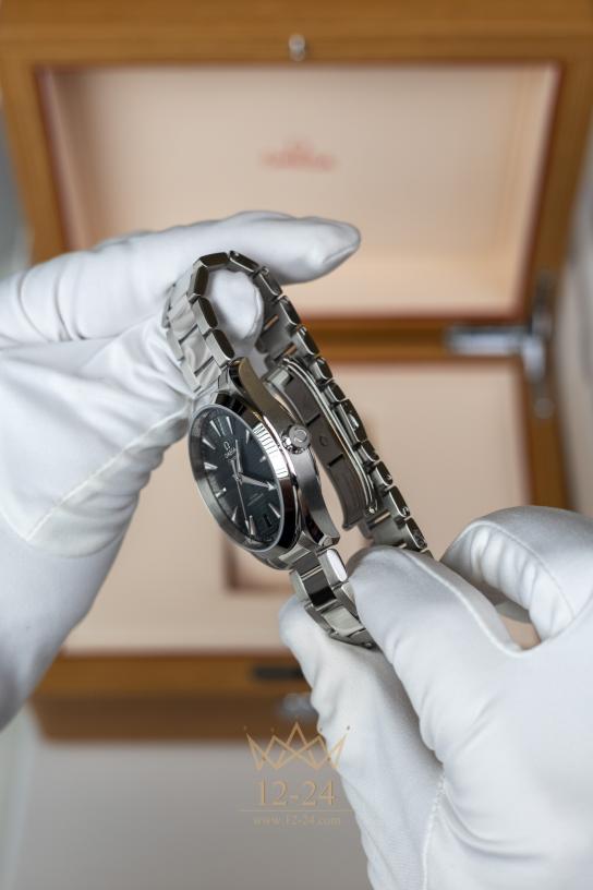 Omega Co-Axial Master Chronometer 41 mm 220.10.41.21.10.001