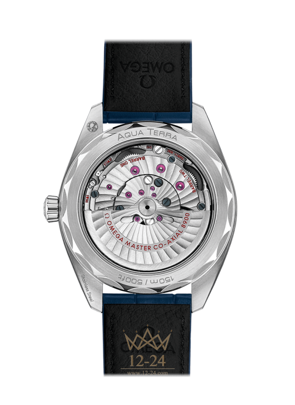 Omega Co-Axial Master Chronometer 41 mm 220.13.41.21.03.003