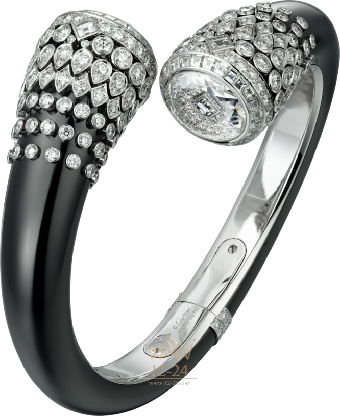 Cartier Visible Time Small model HPI00695