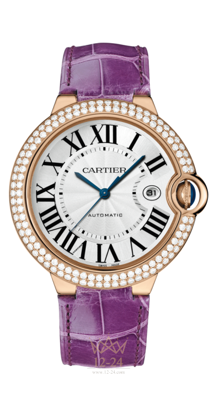 Cartier 42 mm WJBB0031
