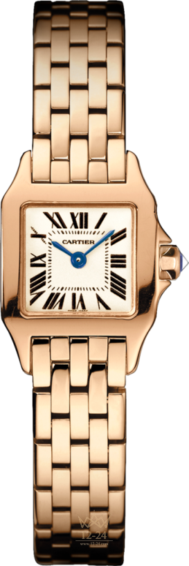 Cartier Demoiselle Mini Model W25077X9