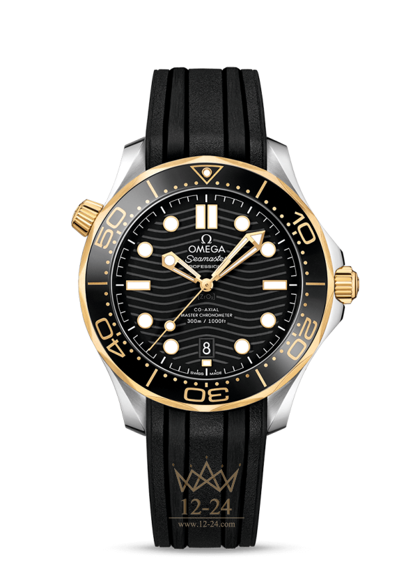 Omega Co-Axial Master Chronometer 42 mm 210.22.42.20.01.001