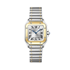 Часы Cartier Cartier Santos de Cartier watch Ref. W2SA0033 W2SA0033 — основная миниатюра