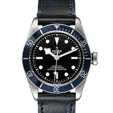Часы Tudor Black Bay M79230B-0002 — основная миниатюра