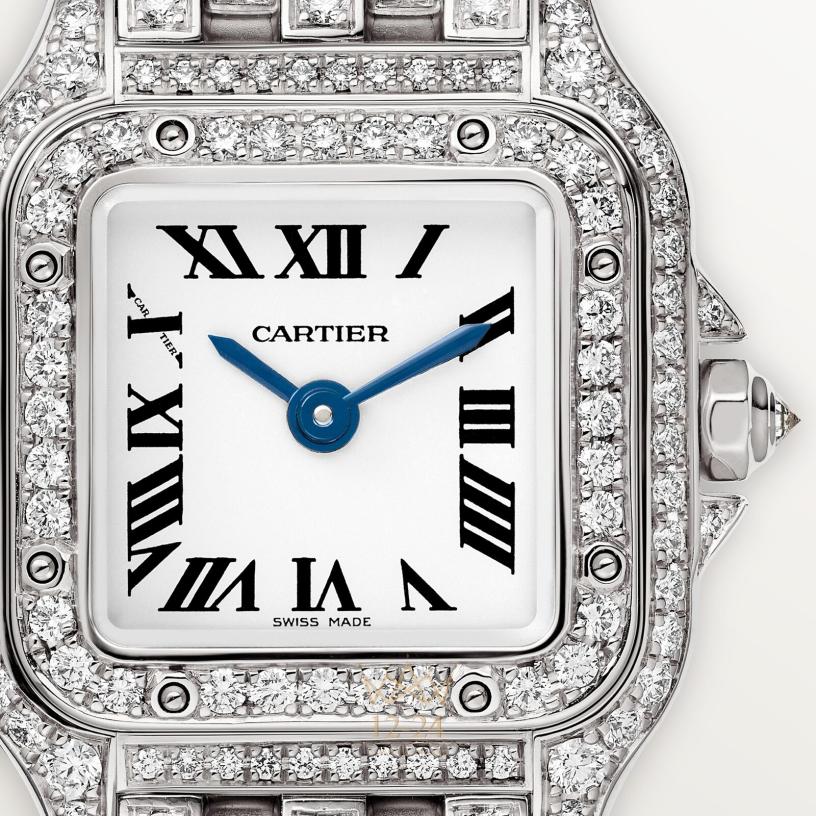 Cartier Panthere de Cartier 25.1 mm x 18.5 mm HPI01719