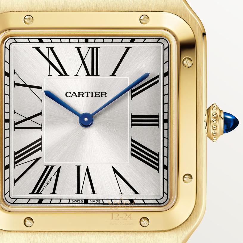 Cartier Santos de Cartier 46.6 мм x 33.9 мм WGSA0108