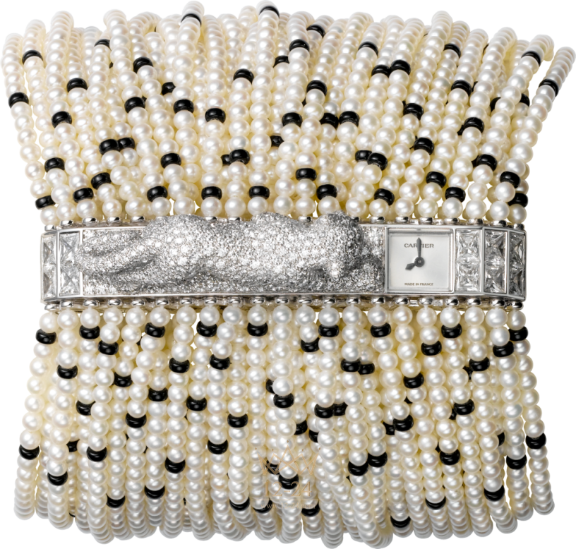 Cartier Visible Time Medium size model HPI00463