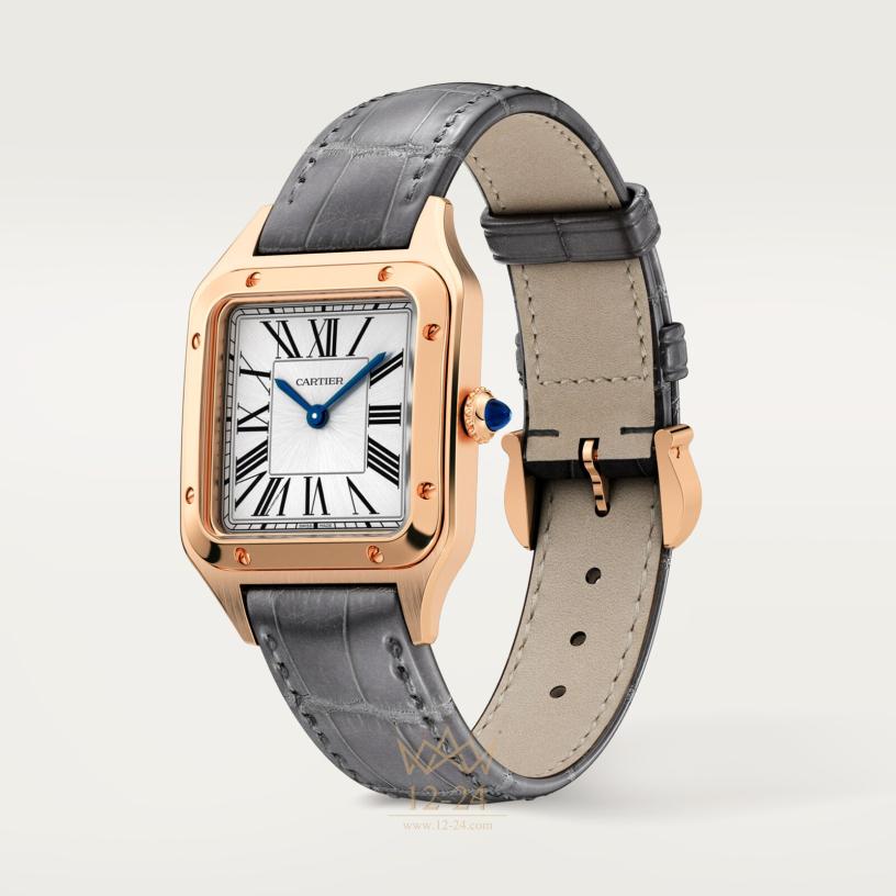 Cartier Santos de Cartier 38.0 мм x 27.5 мм WGSA0117