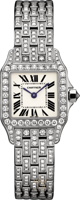 Cartier Demoiselle Small Model WF9003YA