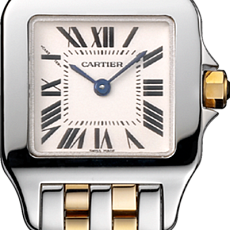 Часы Cartier DEMOISELLE W25066Z6 — main thumb