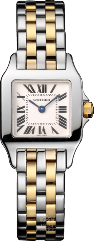 Cartier Demoiselle Small Model W25066Z6
