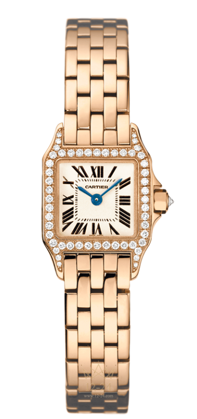 Cartier Demoiselle Mini Model WF9011Z8