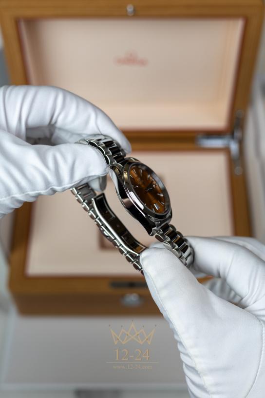 Omega Co‑Axial Master Chronometer 38 mm 220.10.38.20.12.001