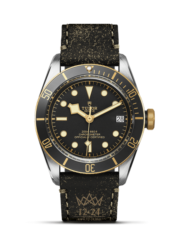 Tudor Black Bay S&amp;G M79733N-0007
