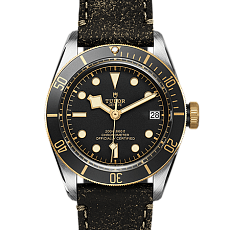 Часы Tudor Black Bay S&G M79733n-0001 — main thumb