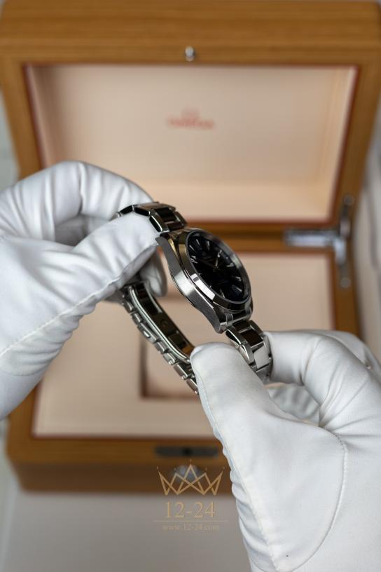 Omega Co-Axial Master Chronometer 41 mm 220.10.41.21.03.004