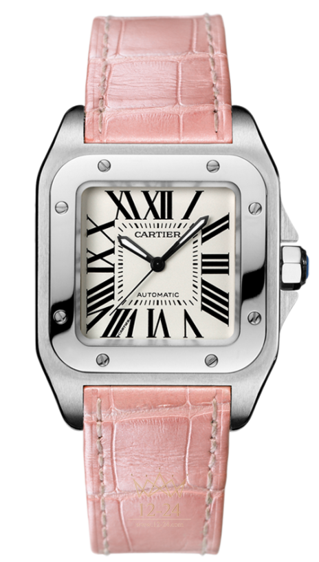 Cartier 100 Medium Model W20126X8