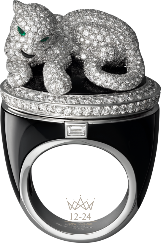 Cartier Hidden Time Motive «Panther» HPI00693