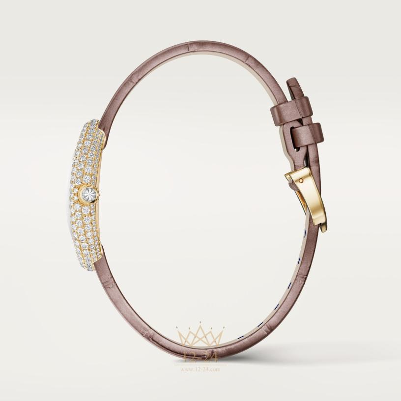 Cartier Baignoire WJBA0048