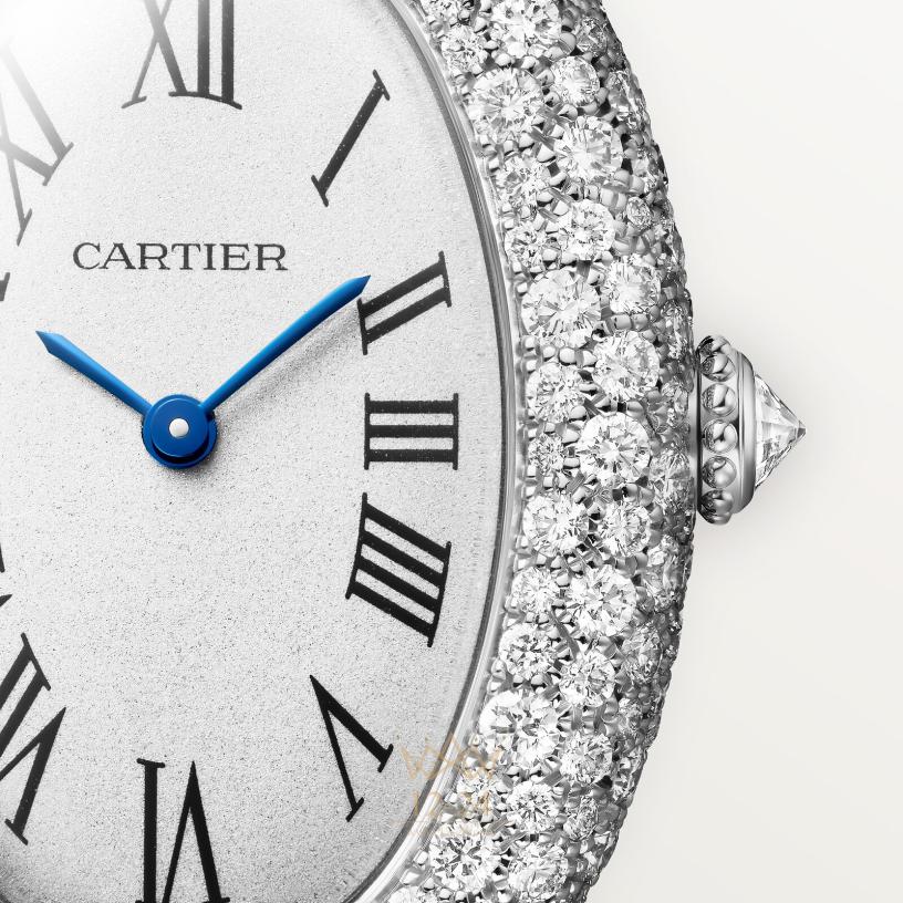 Cartier Baignoire WJBA0046