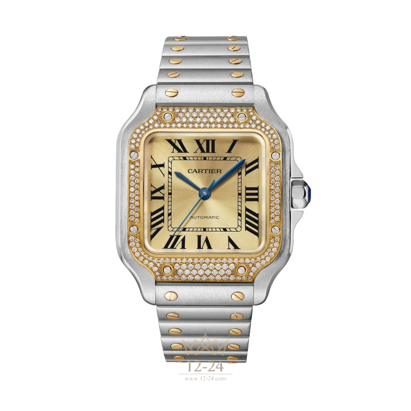 Cartier Medium Model W3SA0007