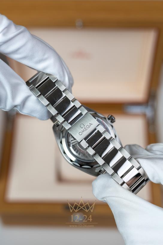 Omega Co-Axial Master Chronometer 41 mm 220.10.41.21.02.001