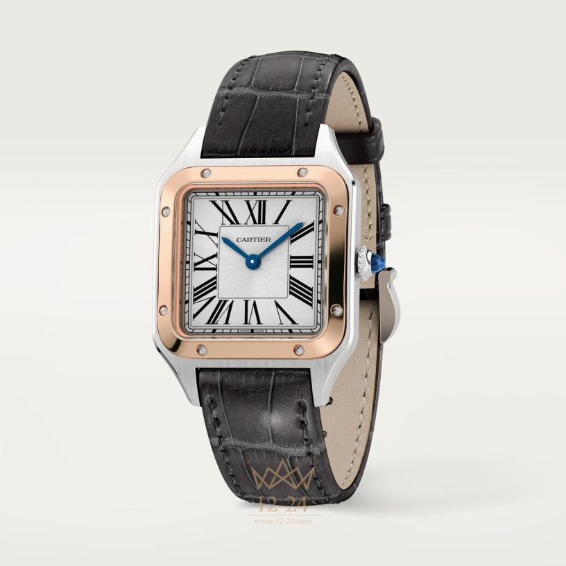 Cartier Santos de Cartier 38.0 мм x 27.5 мм W2SA0038