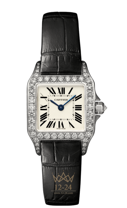 Cartier Demoiselle Small Model WF902007