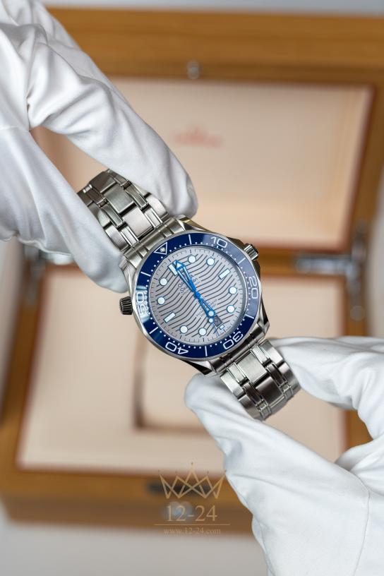 Omega Co-Axial Master Chronometer 42 mm 210.30.42.20.06.001