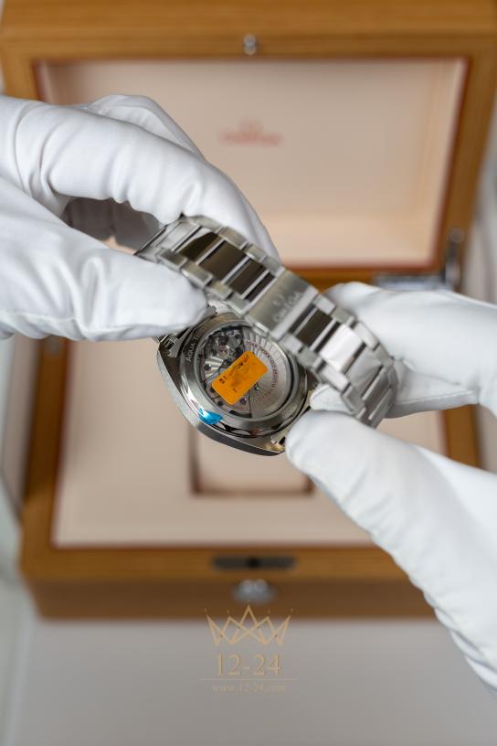 Omega Co-Axial Master Chronometer 41 mm 220.10.41.21.10.001